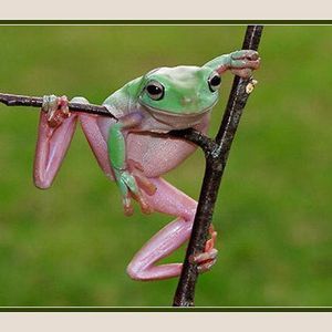 Meet your Posher, Maureen